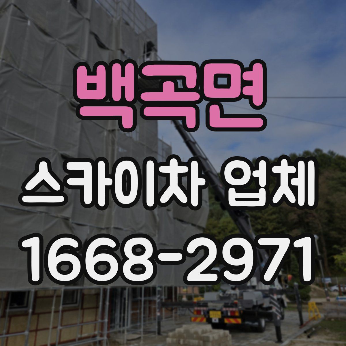 백곡면 스카이차 업체