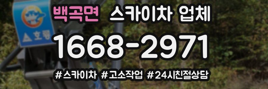 백곡면 스카이차 업체