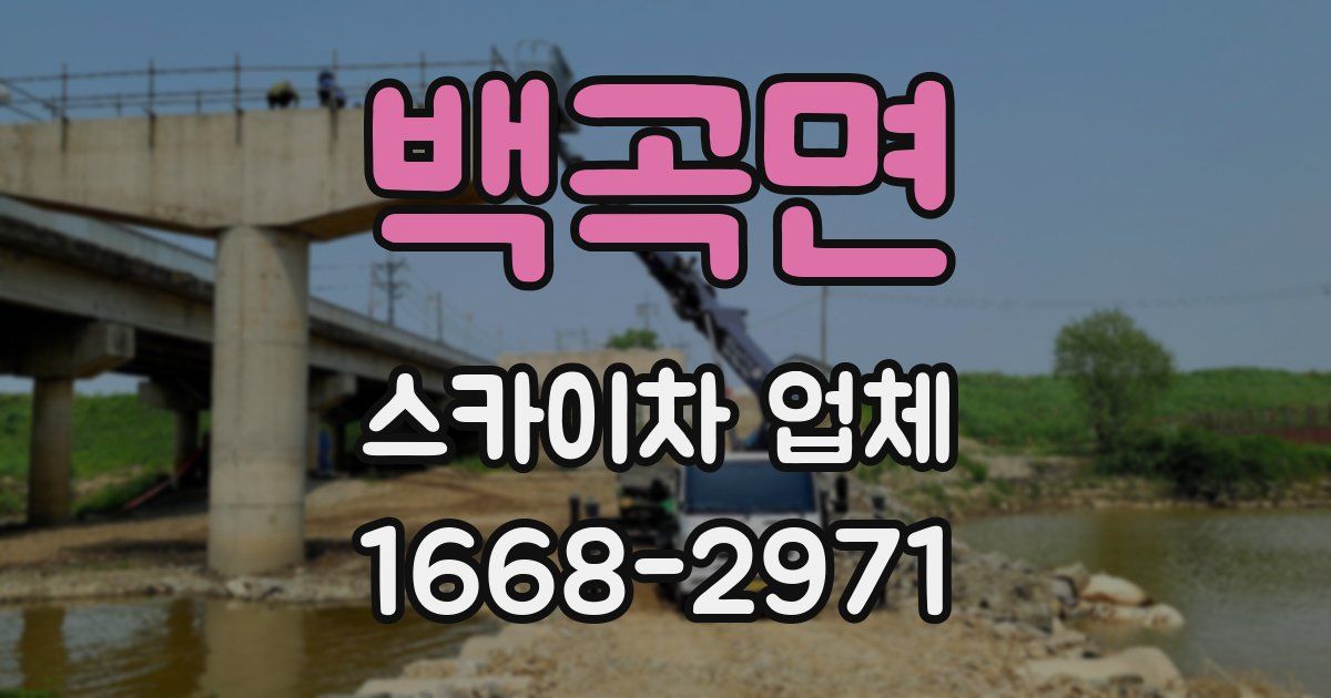 백곡면 스카이차 업체