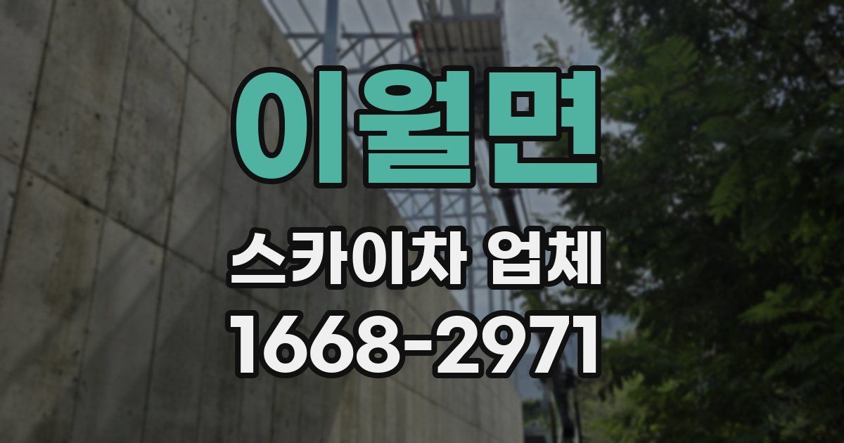 이월면 스카이차 업체