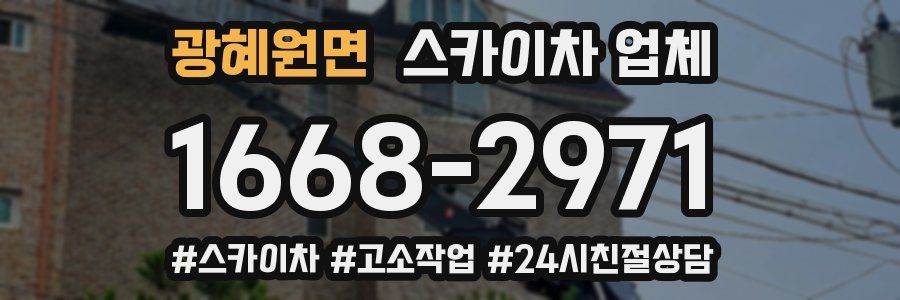 광혜원면 스카이차 업체