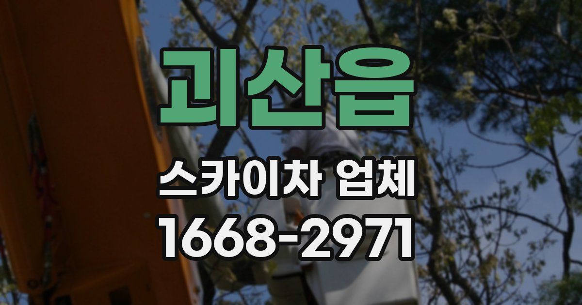 괴산읍 스카이차 업체