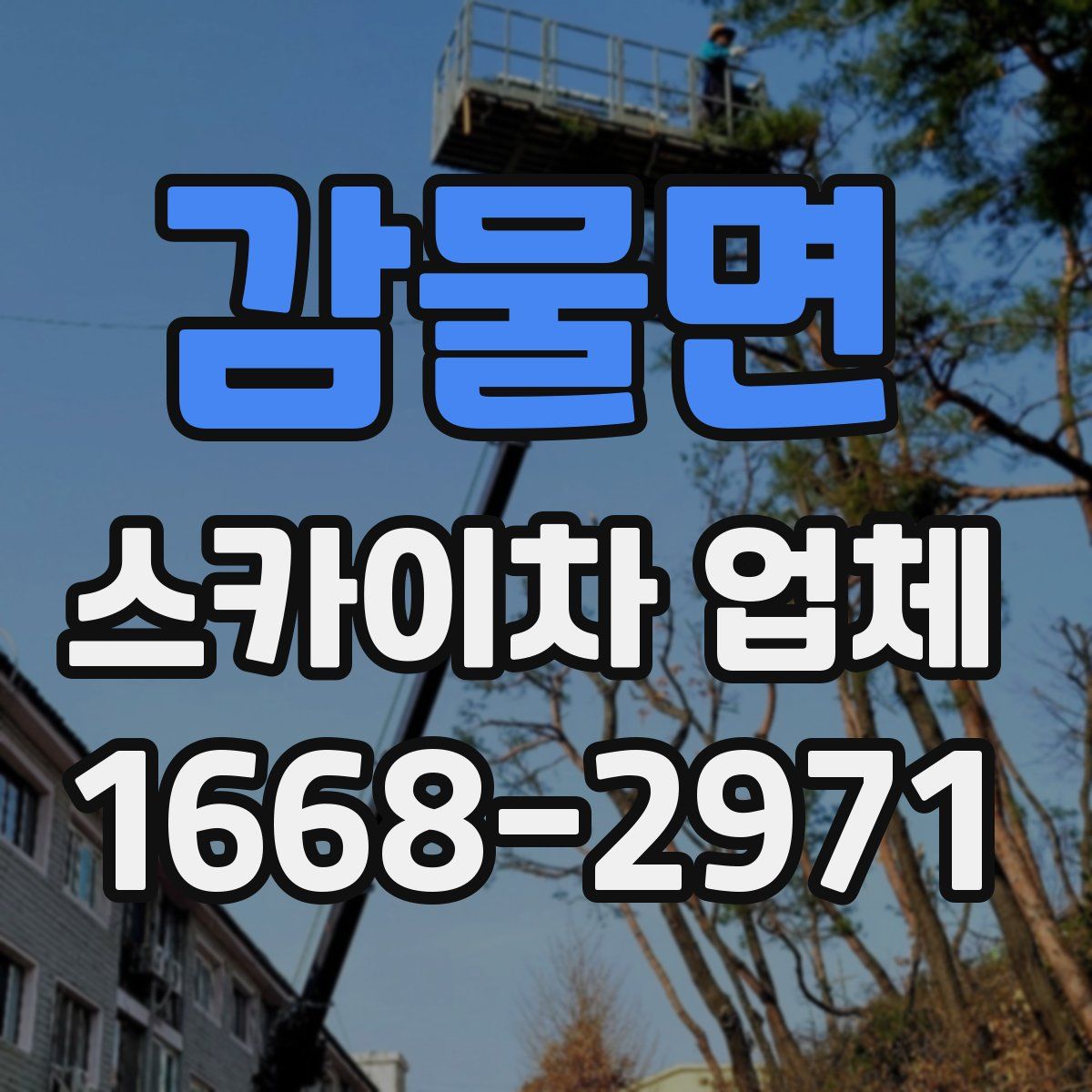 감물면 스카이차 업체
