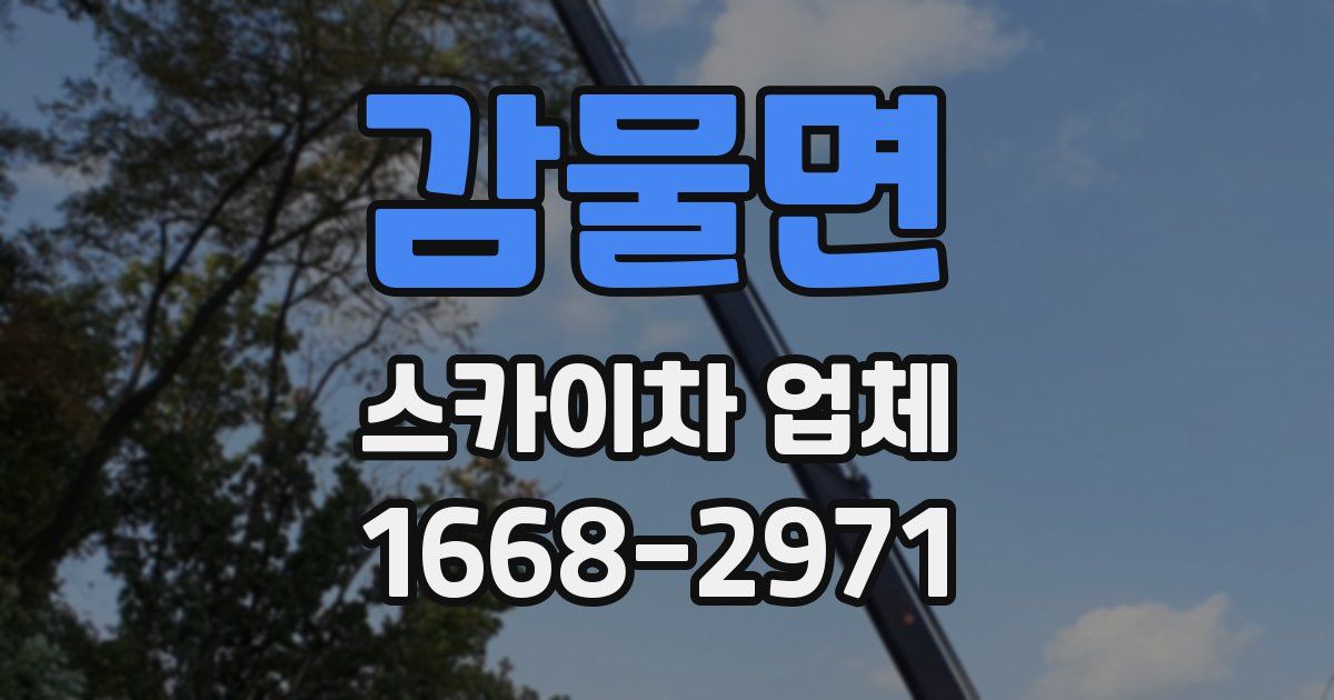 감물면 스카이차 업체
