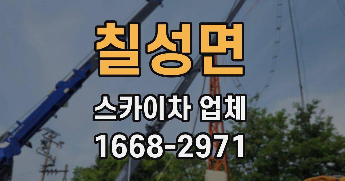 칠성면 스카이차 업체