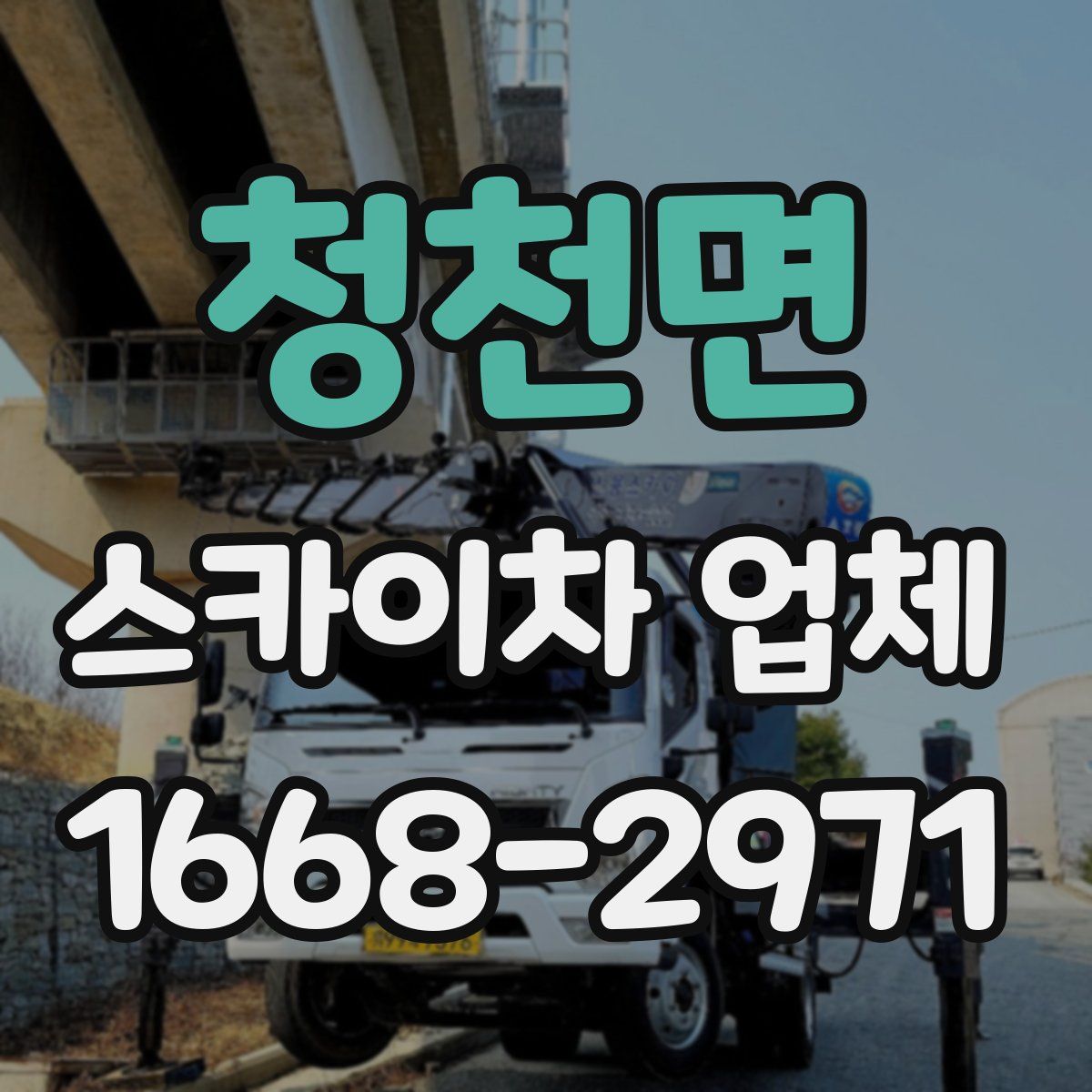 청천면 스카이차 업체