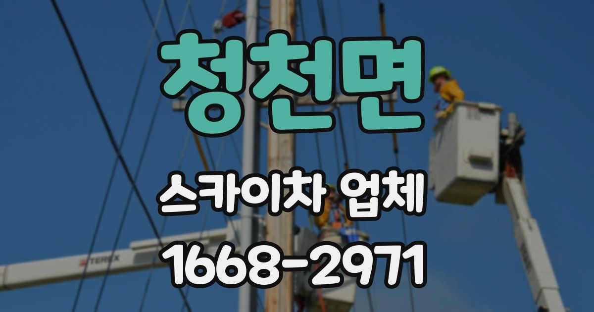청천면 스카이차 업체