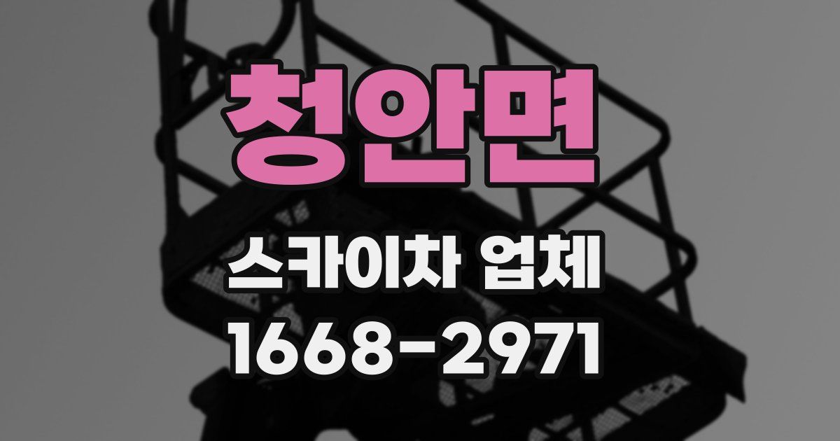 청안면 스카이차 업체