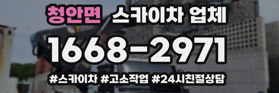 청안면 스카이차 업체