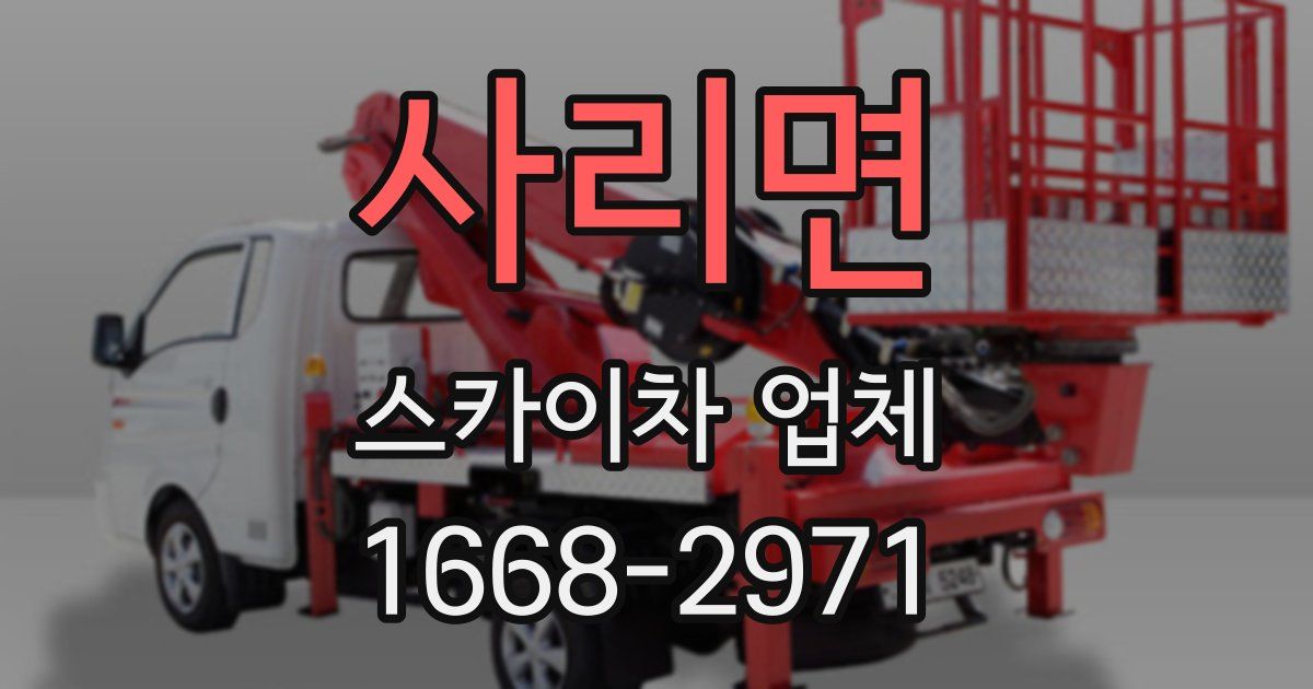 사리면 스카이차 업체