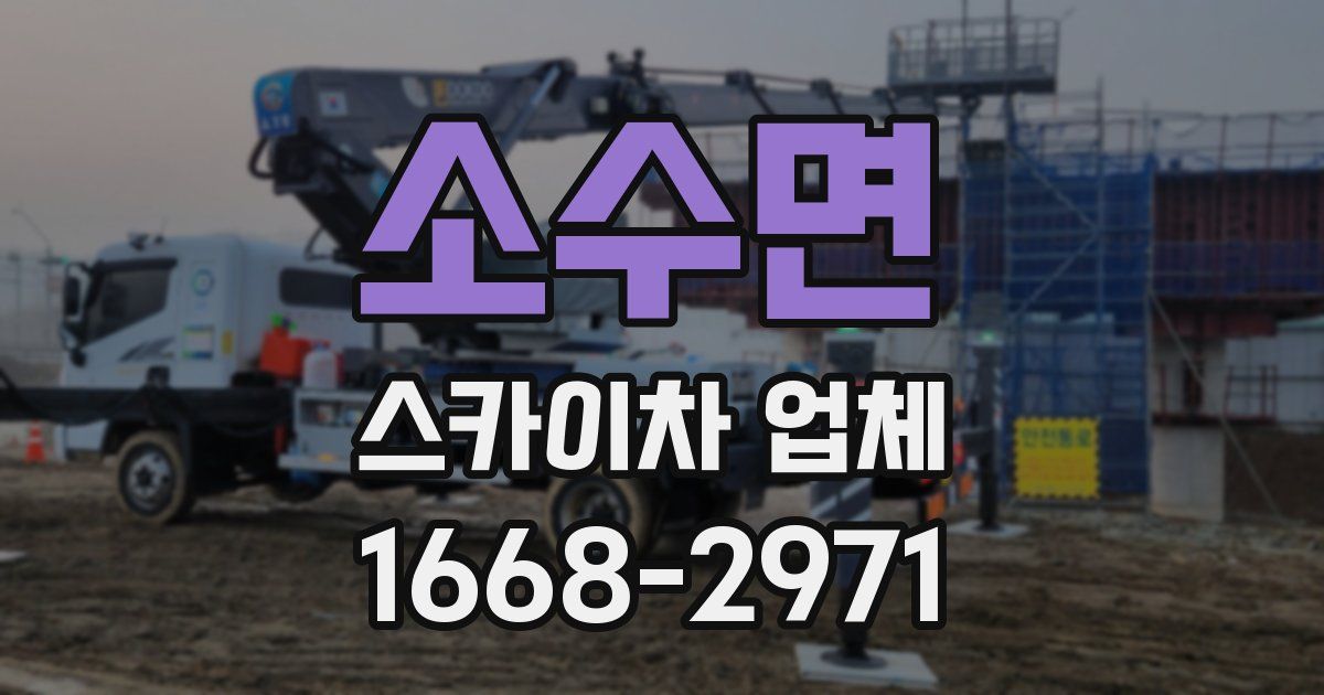 소수면 스카이차 업체