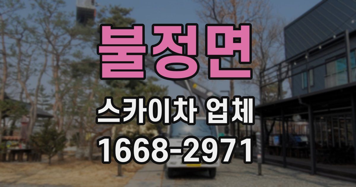 불정면 스카이차 업체