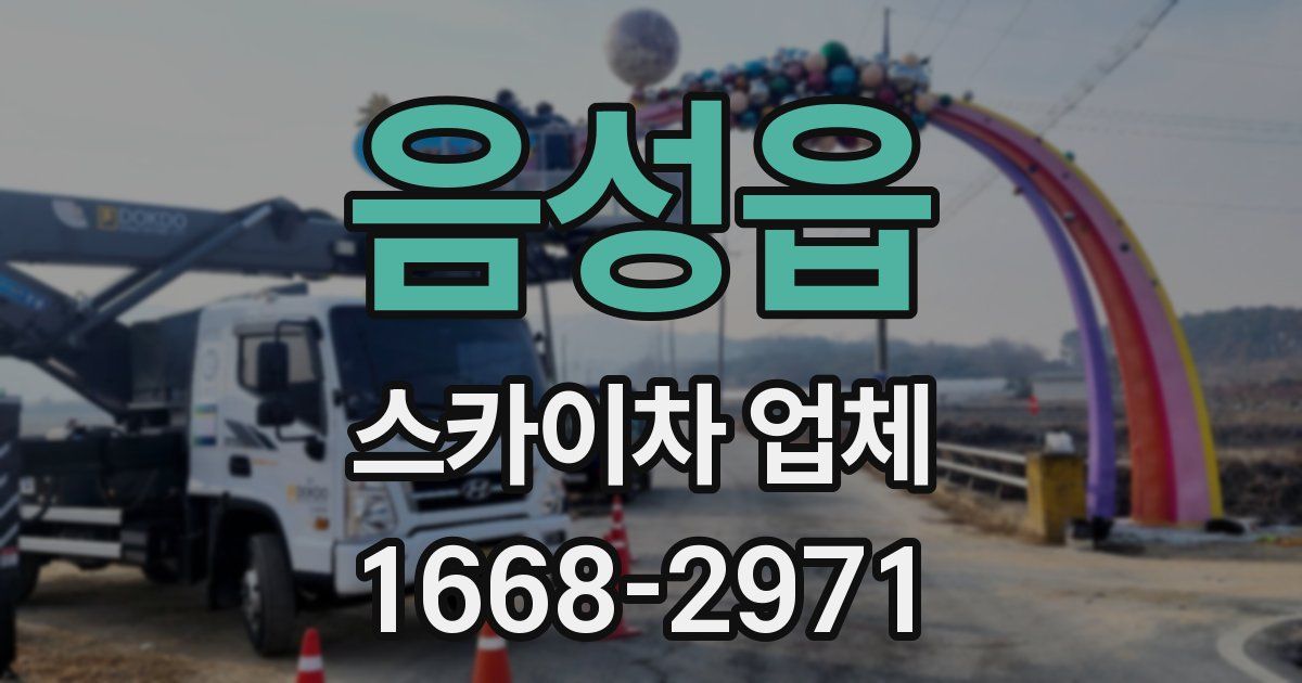 음성읍 스카이차 업체