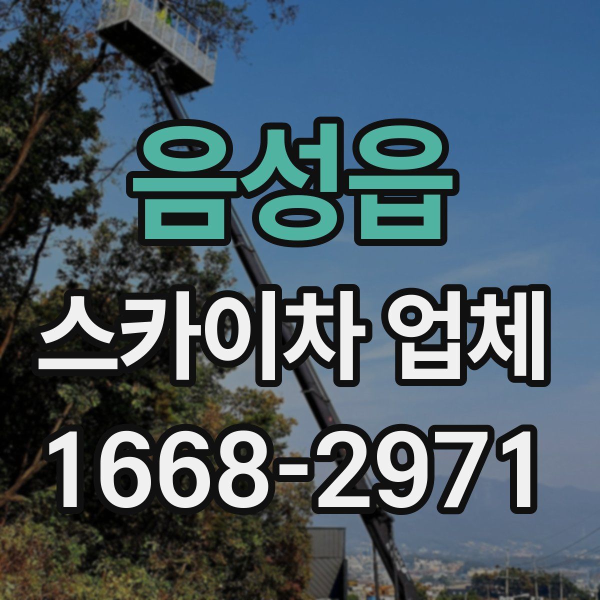 음성읍 스카이차 업체