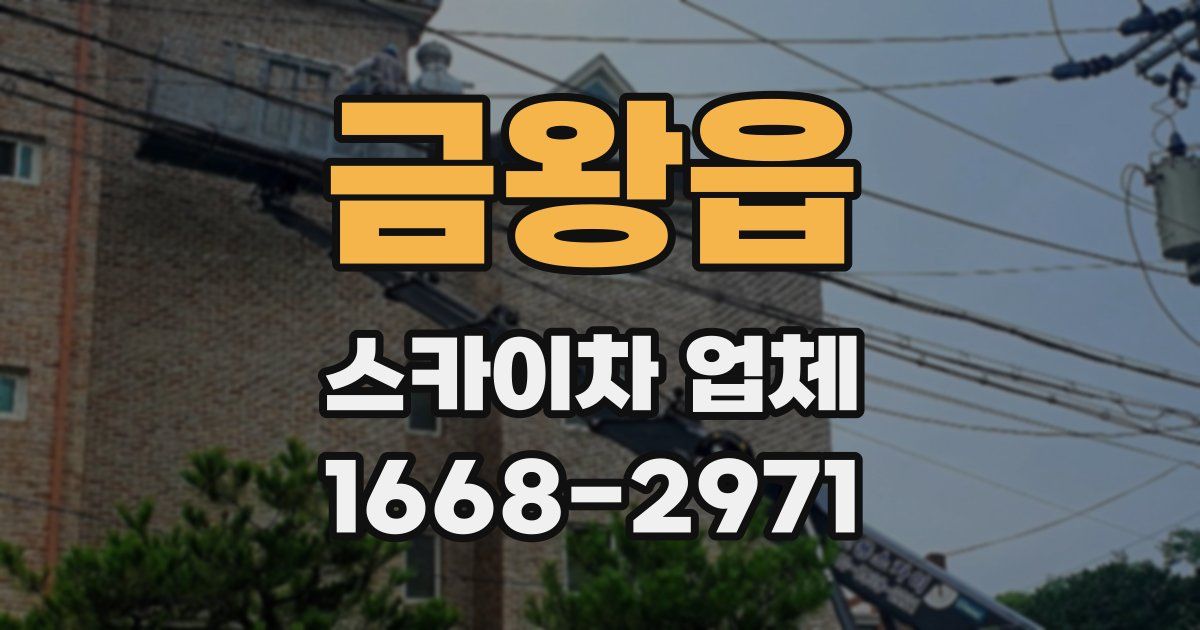 금왕읍 스카이차 업체