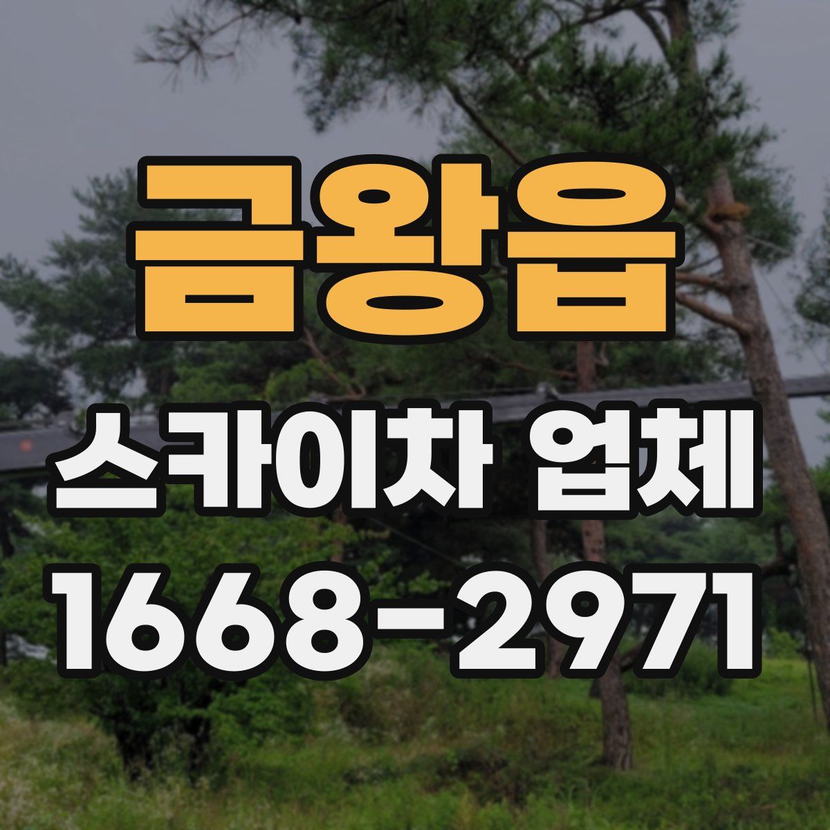 금왕읍 스카이차 업체