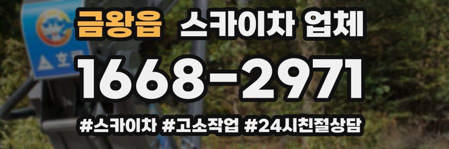 금왕읍 스카이차 업체