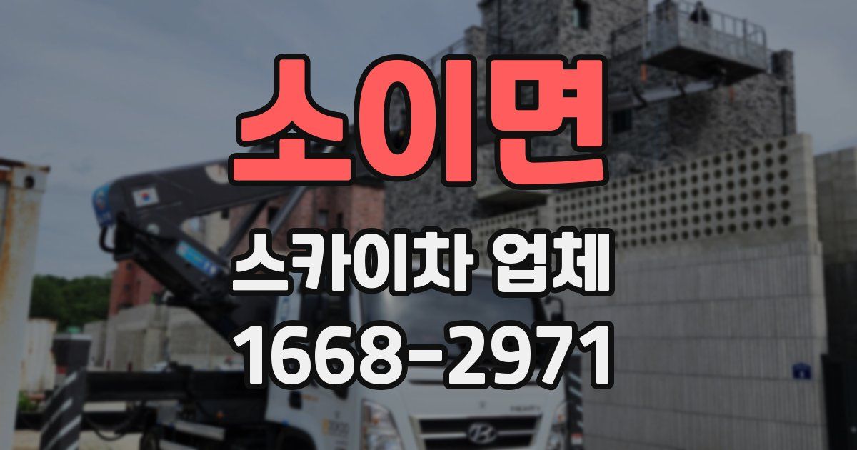 소이면 스카이차 업체