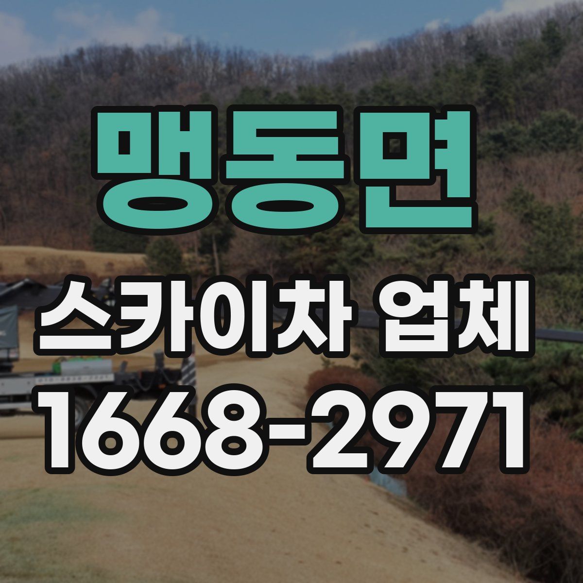 맹동면 스카이차 업체