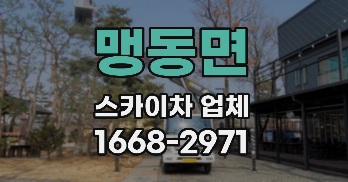 맹동면 스카이차 업체