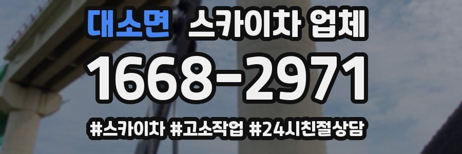 대소면 스카이차 업체