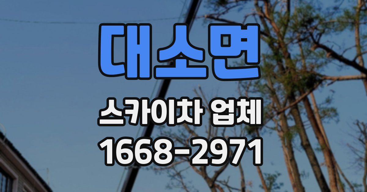 대소면 스카이차 업체