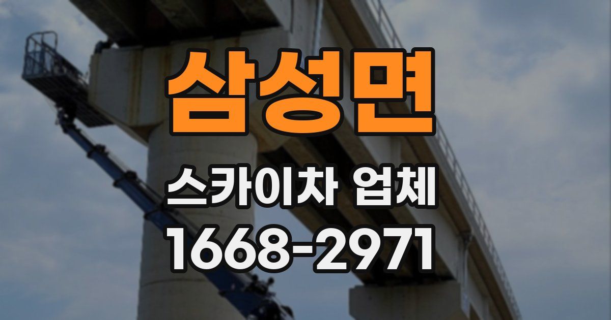 삼성면 스카이차 업체