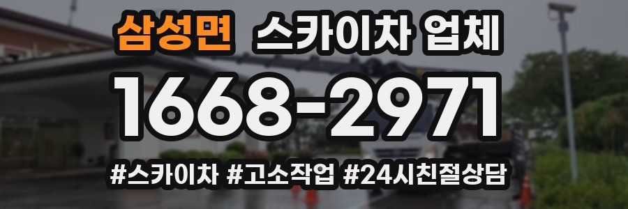 삼성면 스카이차 업체