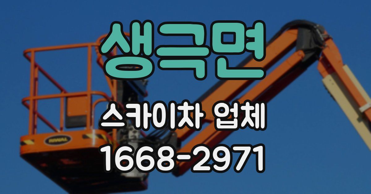 생극면 스카이차 업체