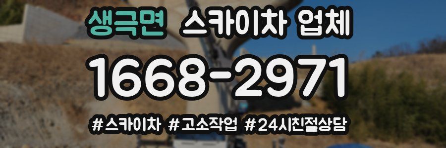 생극면 스카이차 업체