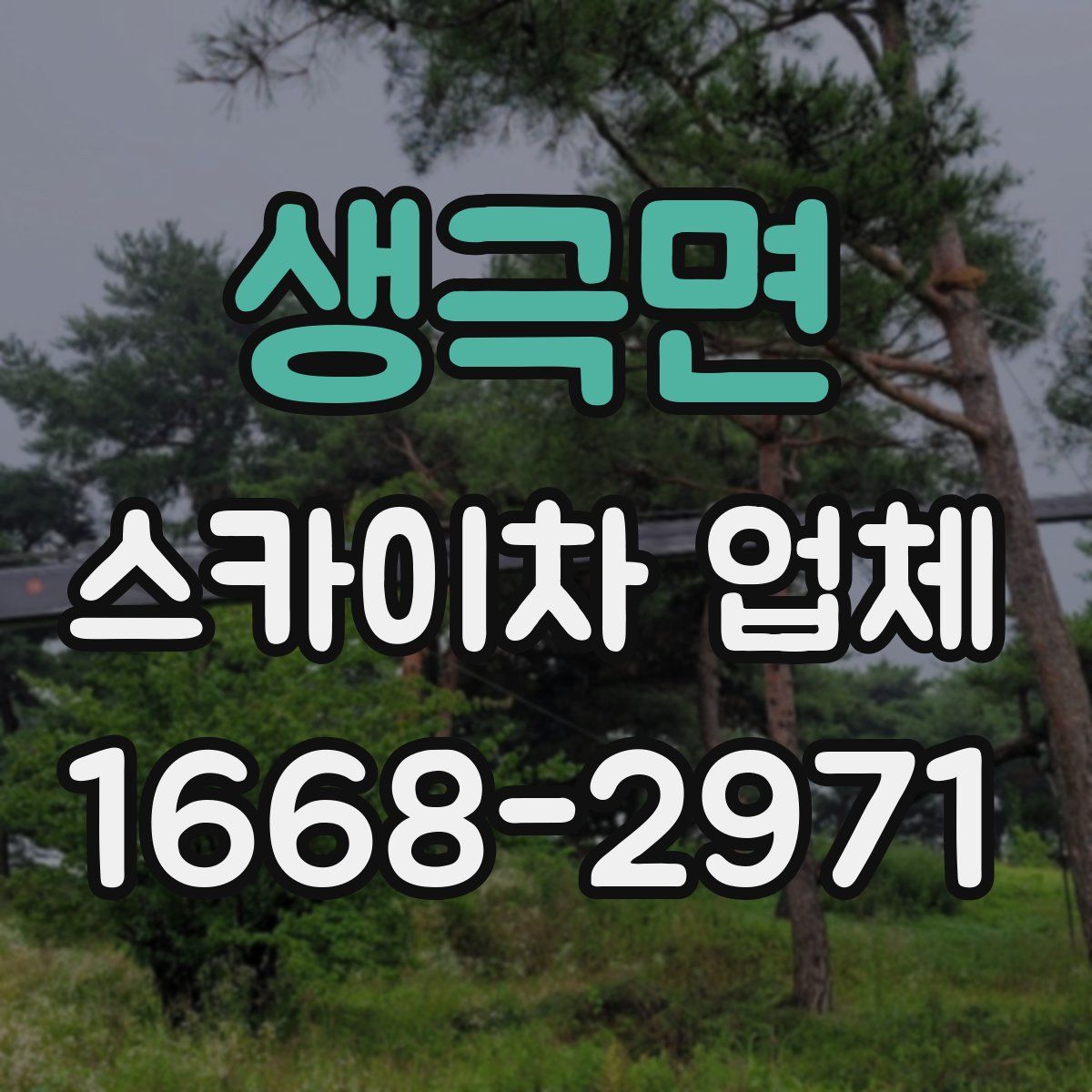 생극면 스카이차 업체