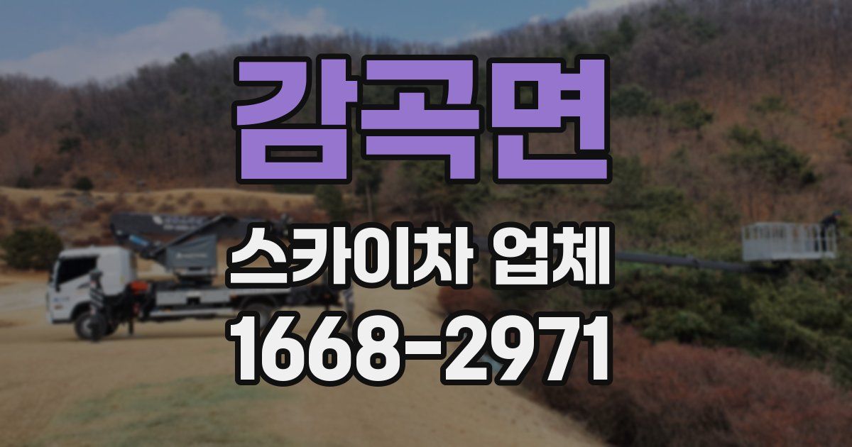 감곡면 스카이차 업체