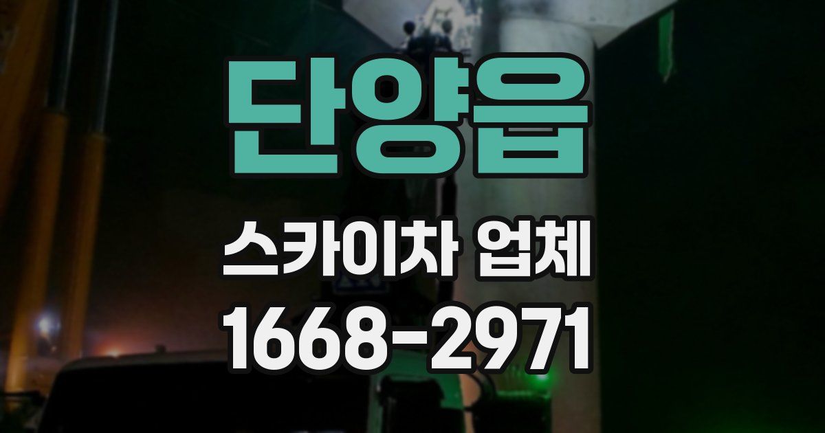 단양읍 스카이차 업체