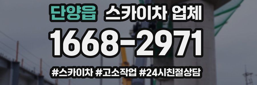 단양읍 스카이차 업체