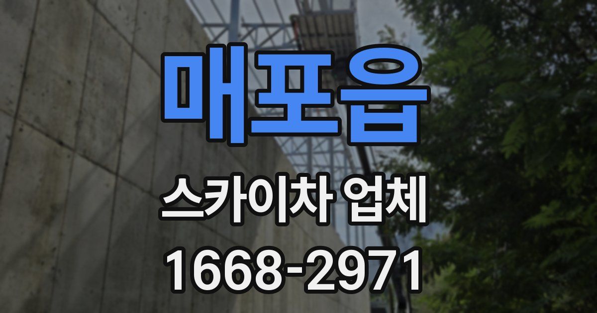 매포읍 스카이차 업체