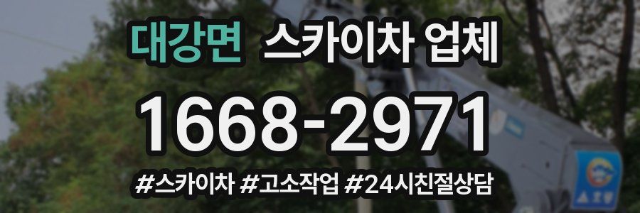 대강면 스카이차 업체