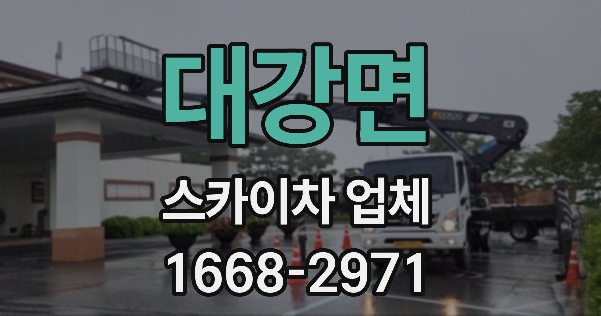대강면 스카이차 업체