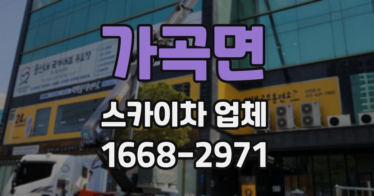 가곡면 스카이차 업체