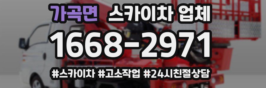 가곡면 스카이차 업체