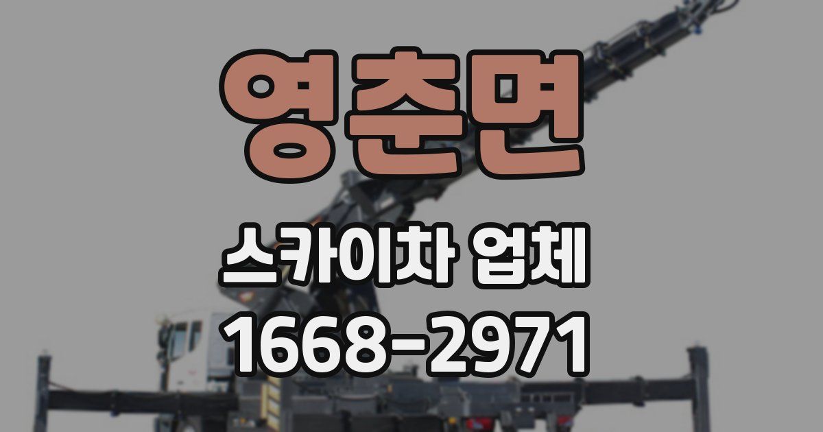 영춘면 스카이차 업체