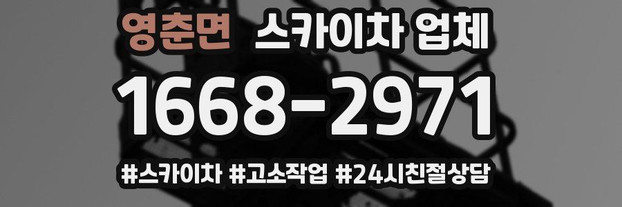 영춘면 스카이차 업체