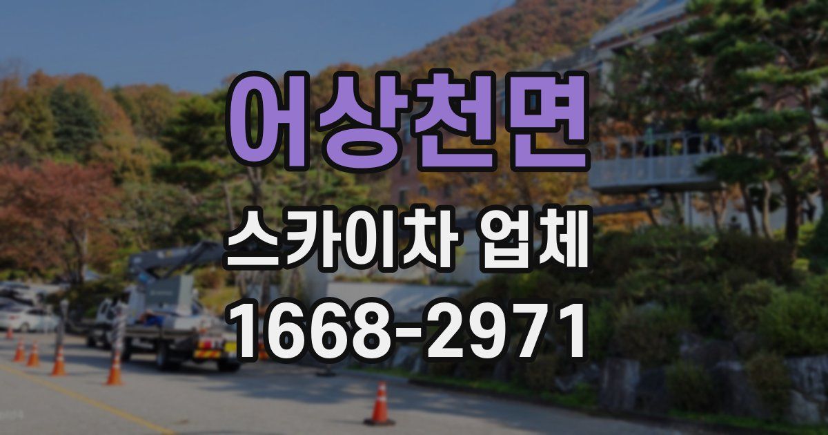 어상천면 스카이차 업체