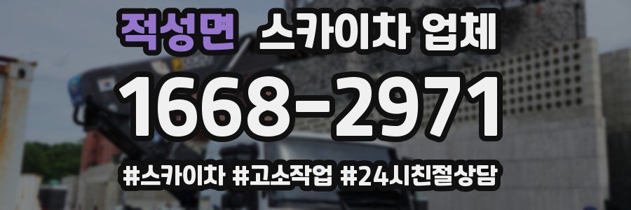적성면 스카이차 업체