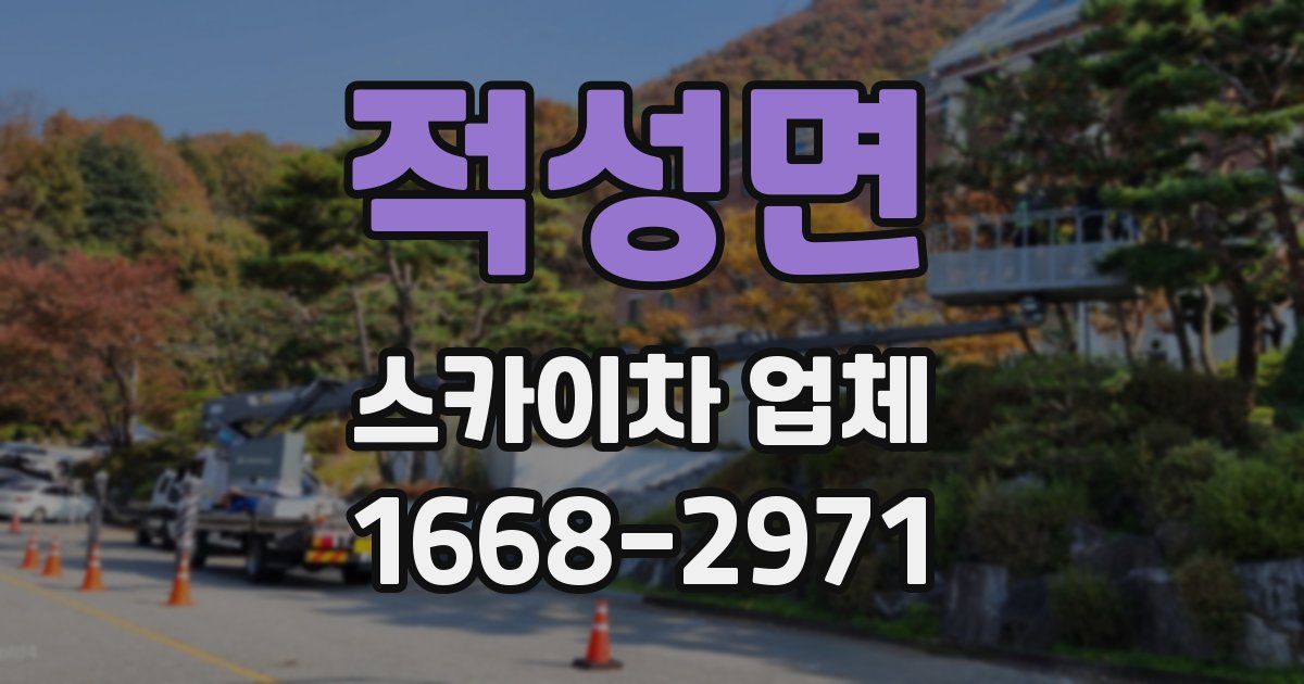 적성면 스카이차 업체