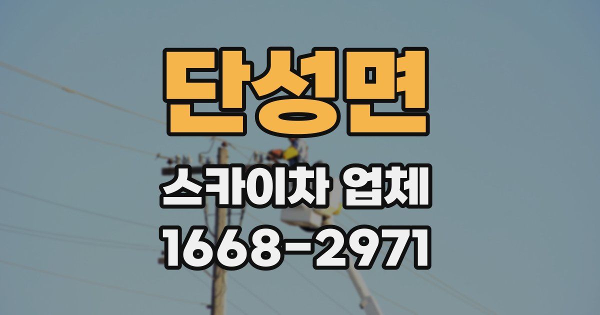 단성면 스카이차 업체
