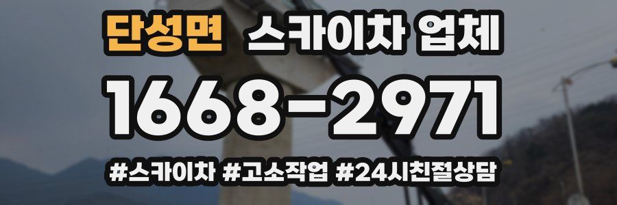 단성면 스카이차 업체