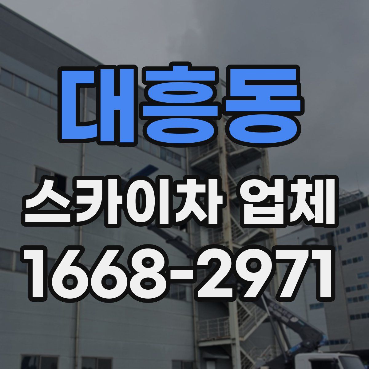대흥동 스카이차 업체