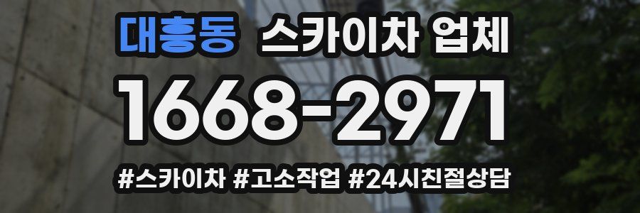 대흥동 스카이차 업체