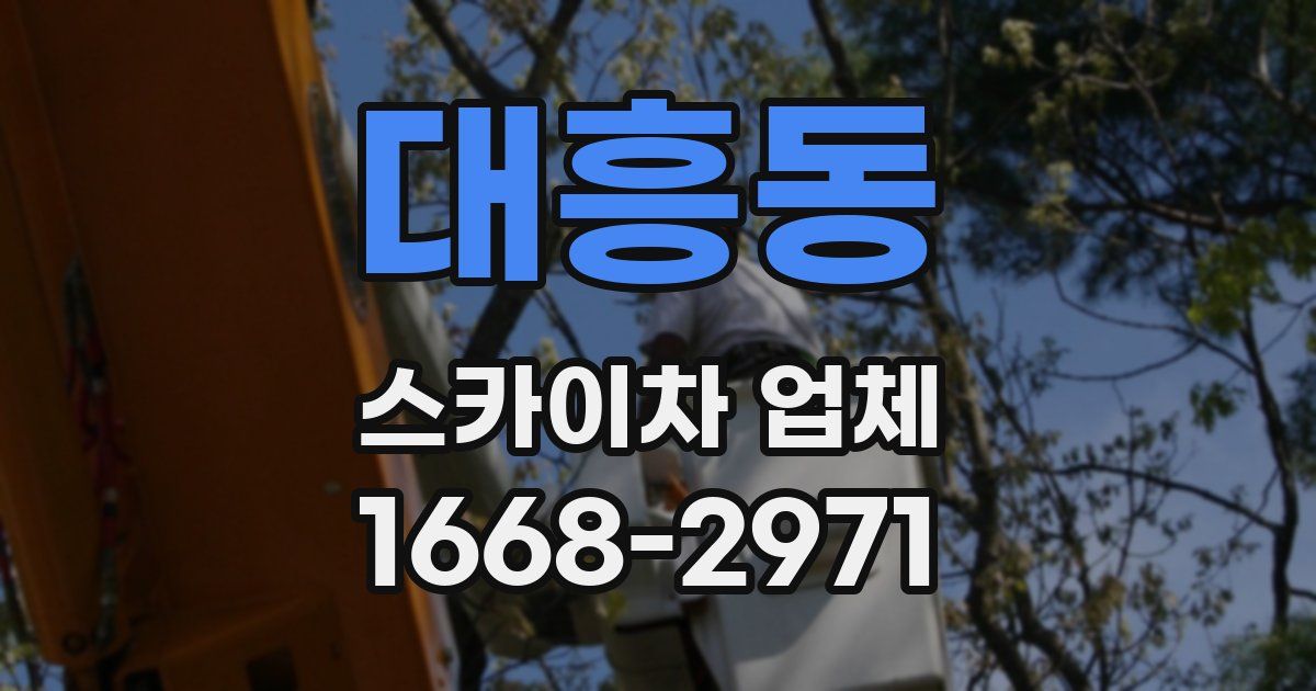 대흥동 스카이차 업체