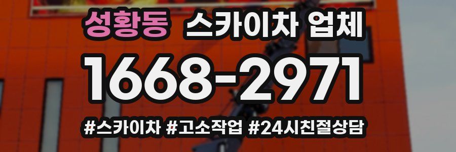 성황동 스카이차 업체